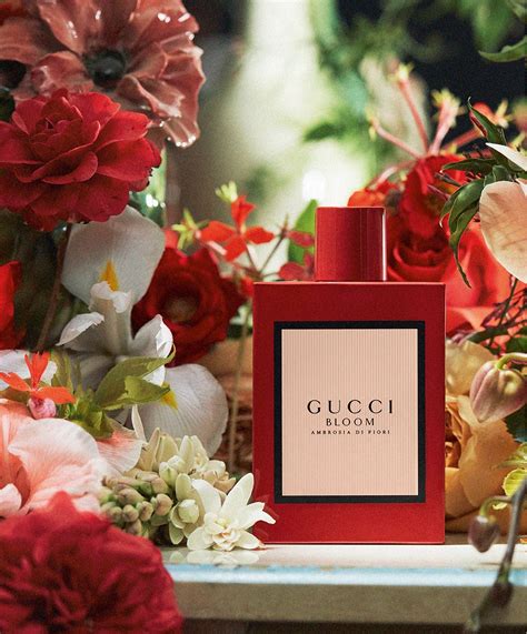 Gucci Bloom ambrosia perfume review